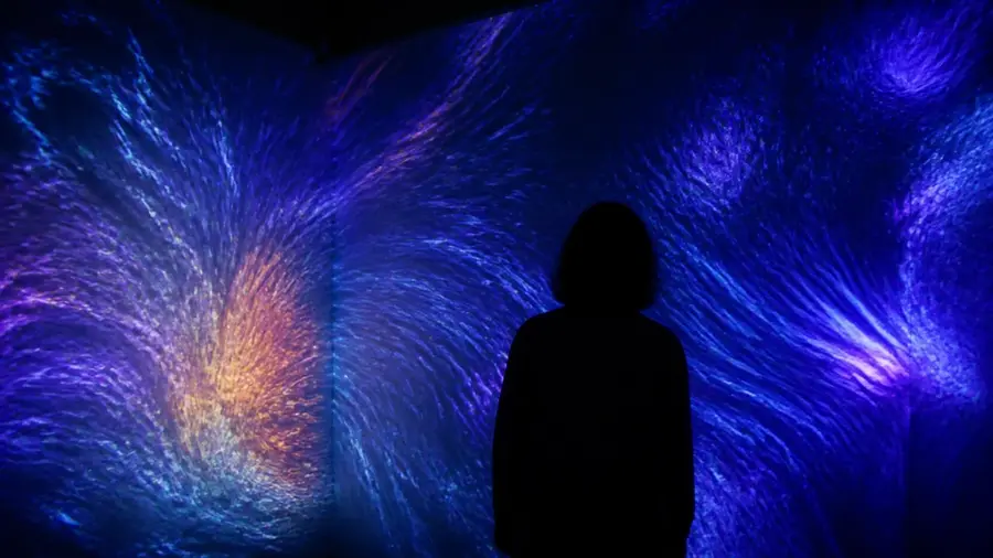 Die immersive Show: Spektakel, Kunst oder beides